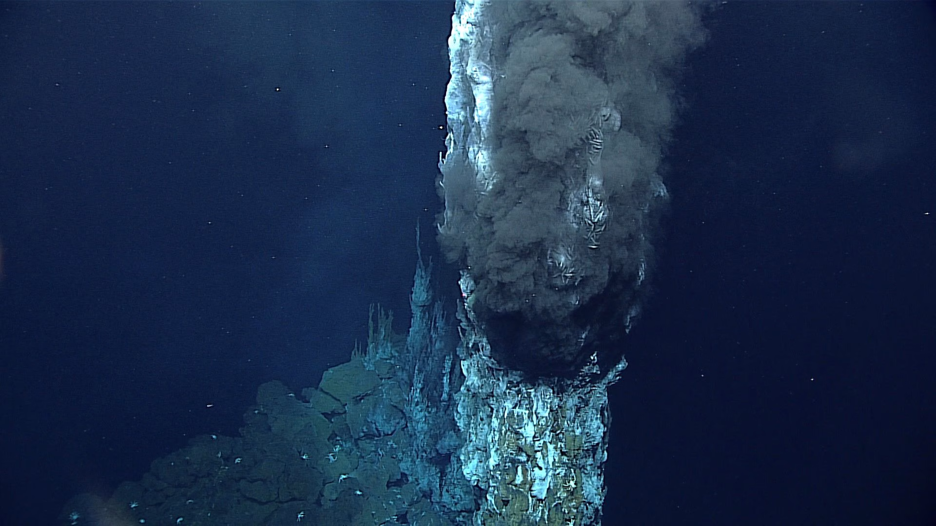 The Most Horrifying Places in the Ocean Below 11,034 Meters: Into the Abyss